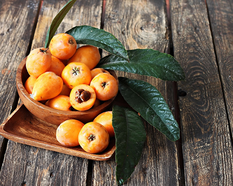 How to Grow Loquat