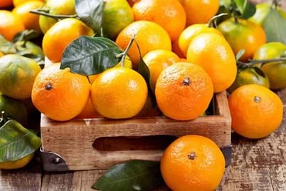 Caring for citrus