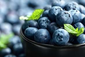 how to grow blueberries 2