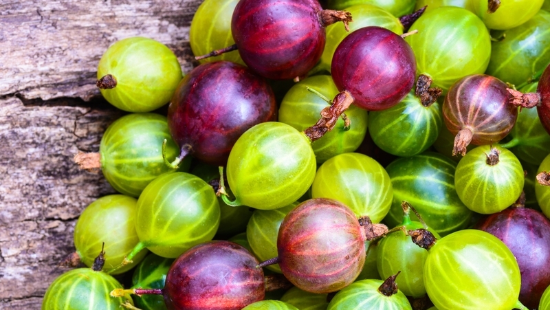 How To Grow Gooseberries