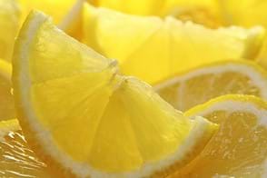 how to grow lemons 3