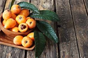 how to grow loquat 3