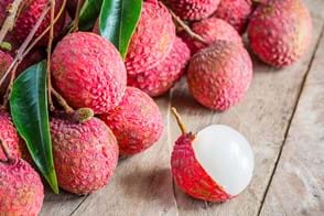 how to grow lychee 2