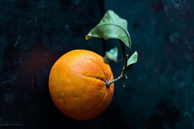 how to grow oranges 2