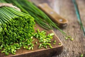 how to grow chives 3