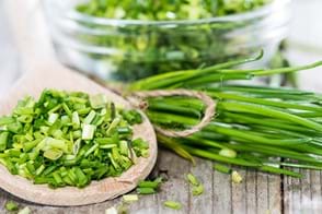 how to grow chives 2