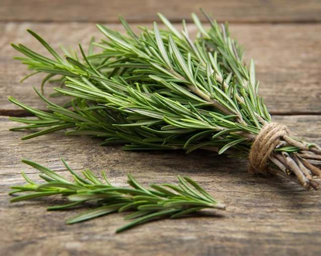 How To Grow Rosemary In The Garden In Pots Yates