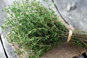 How to Grow Thyme