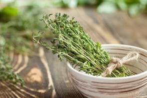 how to grow thyme 3