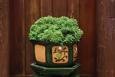 Japanese Box