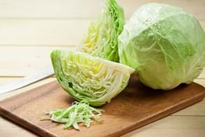 how to grow cabbage 2 (1)