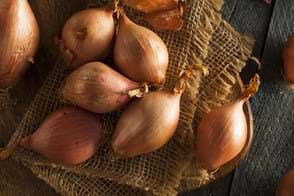 how to grow onions 2 (1)