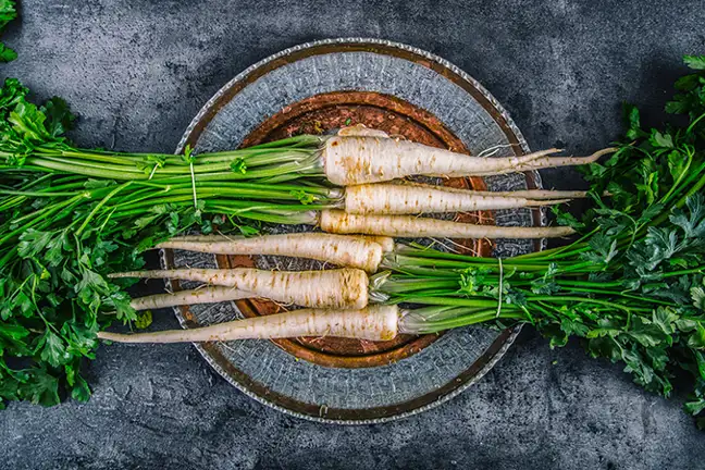 how to grow parsnips 2 (1)