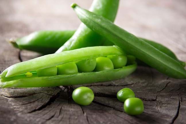 how to grow peas 3 (1)