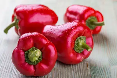 Capsicum