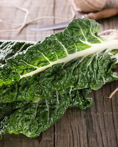 How to Grow Silverbeet