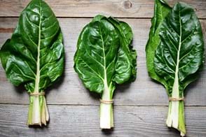 how to grow silverbeet 2 (1)