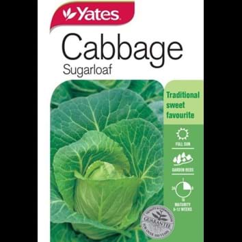 cabbage-sugarloaf
