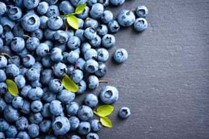 How to Grow Blueberry