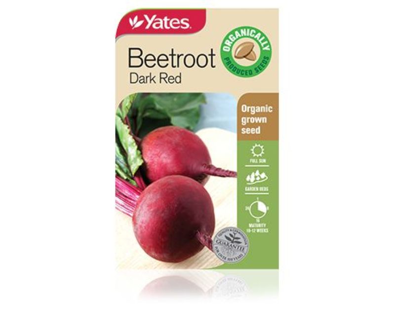 Beetroot Dark Red | Vegetables | Yates Seeds for Gardens