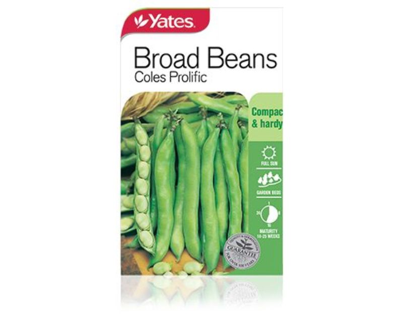Broad Beans Coles Prolific | Vegetables | Yates Seeds for ...