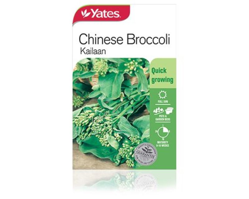 Chinese Broccoli Kailaan | Vegetables | Yates Seeds for ...