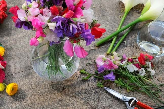 glass vase filled with sweet peas in shades of pink and purple. sitting on a table with other flowers scatted nearby and a pair of secateurs