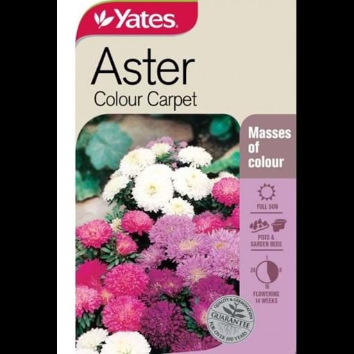 51652_Aster Colour Carpet_FOP.jpg