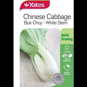 chinese-cabbage-buk-choy-white-stem