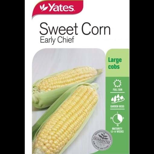 51691_Sweet Corn Early Chief_FOP.jpg