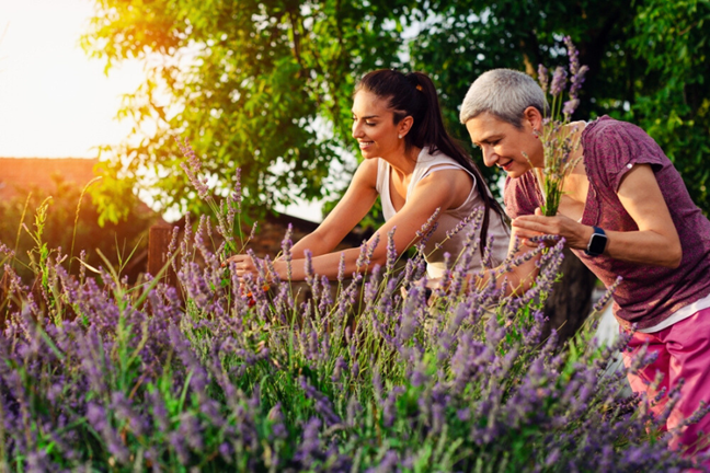 mother and daughter harvesting lavender in a garden