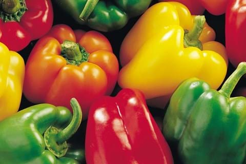 How to Grow Capsicum