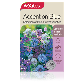 accent-on-blue-selection-of-blue-flower-varieties