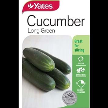 cucumber-long-green
