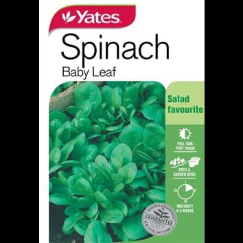 spinach-baby-leaf