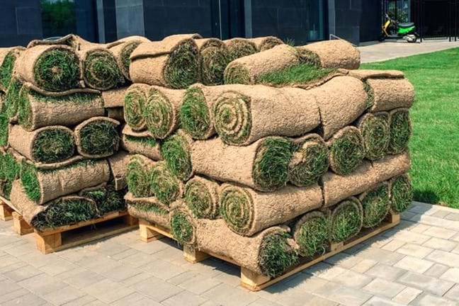 Image above: pallets of rolled turf.