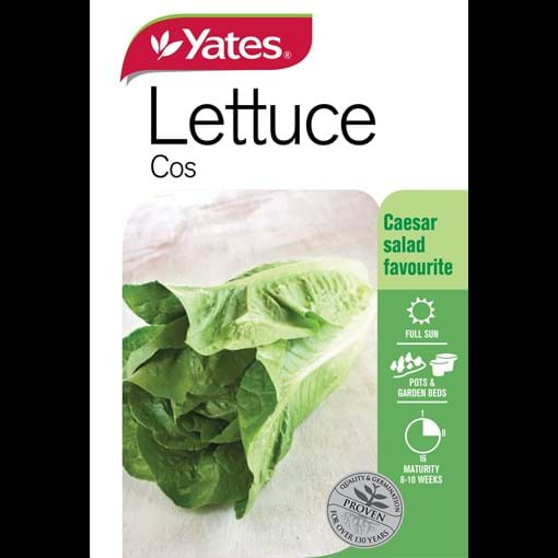 56069_Yates Cos Lettuce_FOP_ckwoh7.jpg (2)