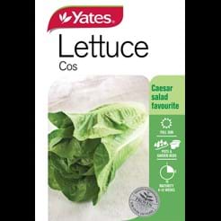 Lettuce Cos