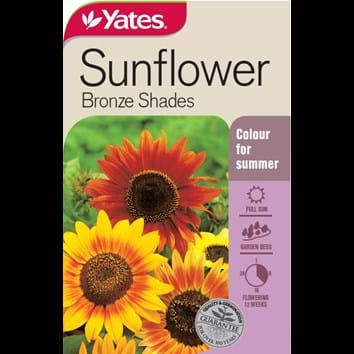 sunflower-bronze-shades