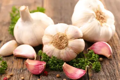 Garlic