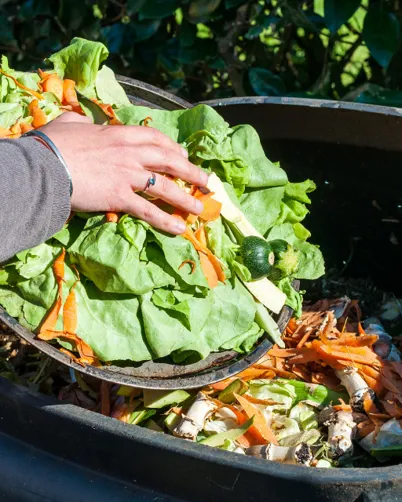 Autumn Organic Gardening