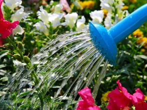 Spraying & Sprinkling