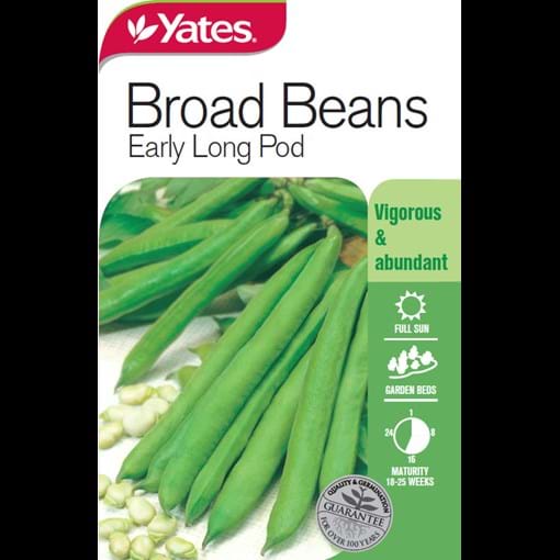 18211_Yates Broad Bean Early Long Pod_FOP.jpg (1)