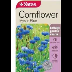 Cornflower Mystic Blue