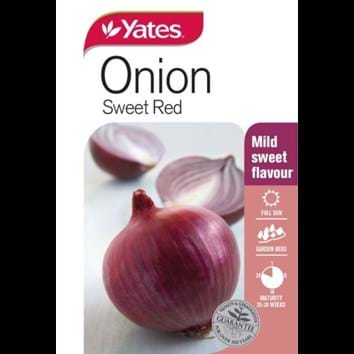 onion-sweet-red