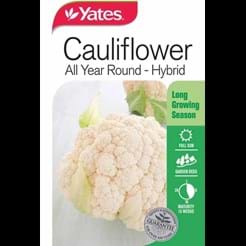 Cauliflower All Year Round - Hybrid