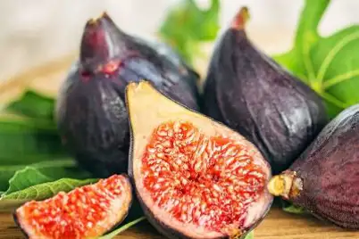 Fig