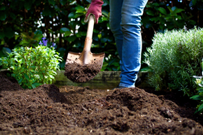 Beginner's Guide to Soil & Soil Improvement